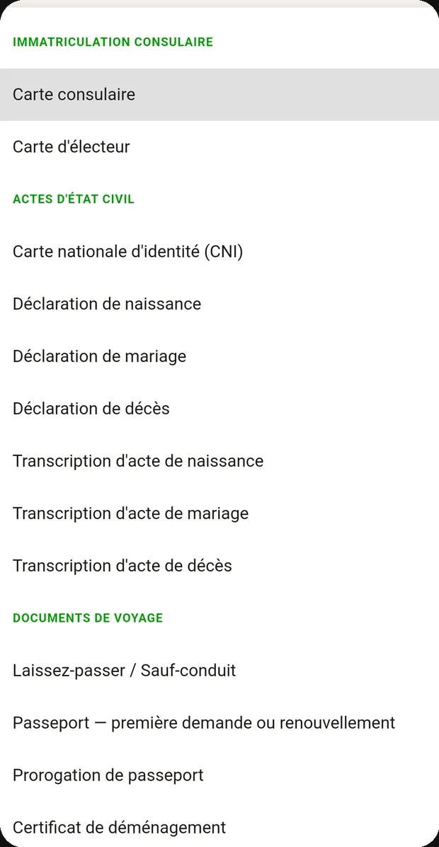 List of the twenty consular procedures, sorted by category.